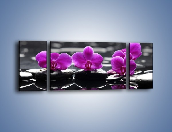 Obraz na płótnie – Wodny szereg kwiatowy – trzyczęściowy K905W5