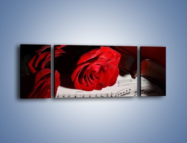 Obraz na płótnie – Sonety pisane miłością do róż – trzyczęściowy K906W5
