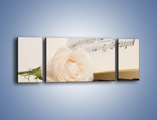 Obraz na płótnie – Fortepian z białą różą – trzyczęściowy K908W5