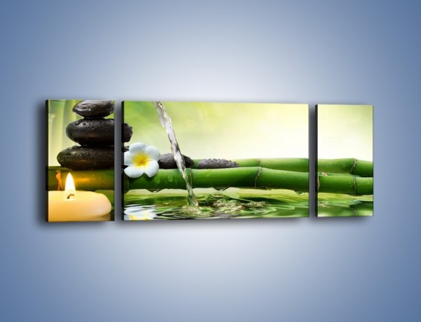 Obraz na płótnie – Bambus i źródło wody – trzyczęściowy K930W5