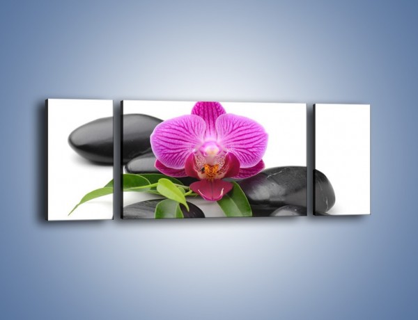 Obraz na płótnie – Kwiat i jego liście – trzyczęściowy K941W5
