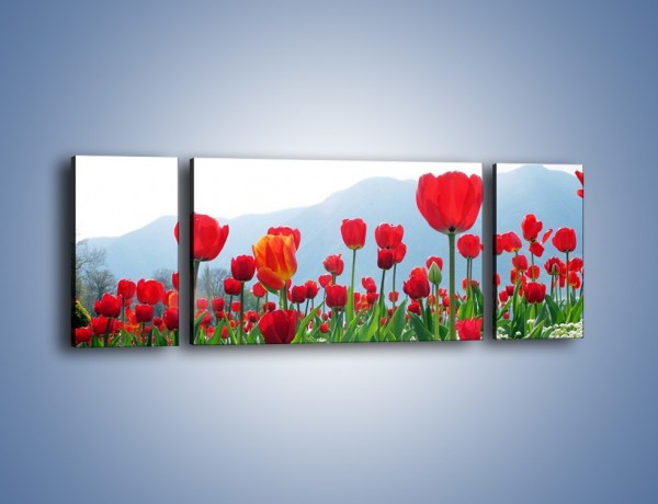 Obraz na płótnie – Konwalie wśród dojrzałych tulipanów – trzyczęściowy K947W5
