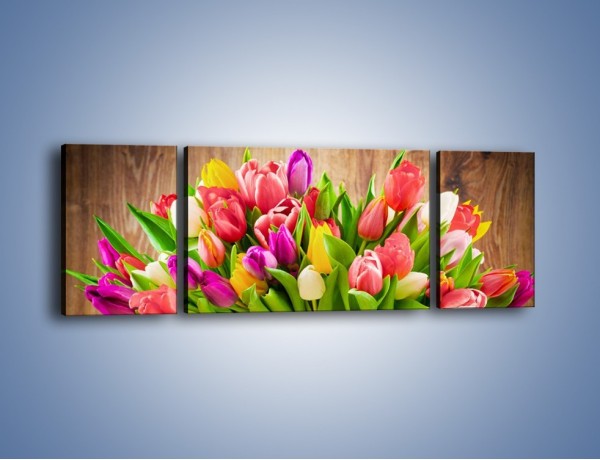 Obraz na płótnie – Skrzynia w tulipanach – trzyczęściowy K955W5