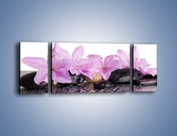 Obraz na płótnie – Lila kwiaty w mokrym klimacie – trzyczęściowy K957W5