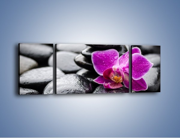Obraz na płótnie – Malutki kwiatek i morze kamieni – trzyczęściowy K983W5
