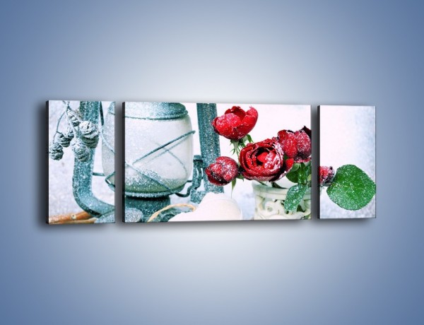 Obraz na płótnie – Zimowe dodatki i kwiaty – trzyczęściowy K987W5