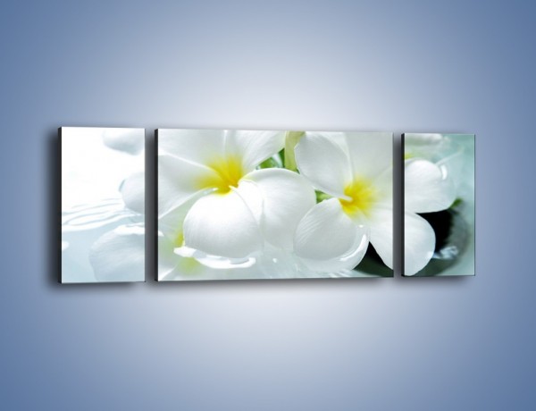 Obraz na płótnie – Białe kwiaty w potoku – trzyczęściowy K991W5