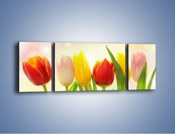 Obraz na płótnie – Sześć małych tulipanków – trzyczęściowy K996W5