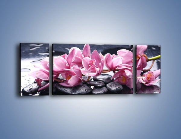 Obraz na płótnie – Rzucone kwiaty na wodę – trzyczęściowy K997W5
