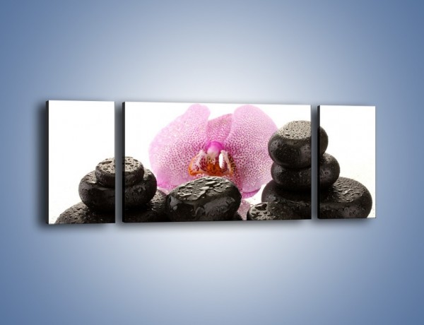 Obraz na płótnie – Kwiat z kamiennym akcentem – trzyczęściowy K999W5