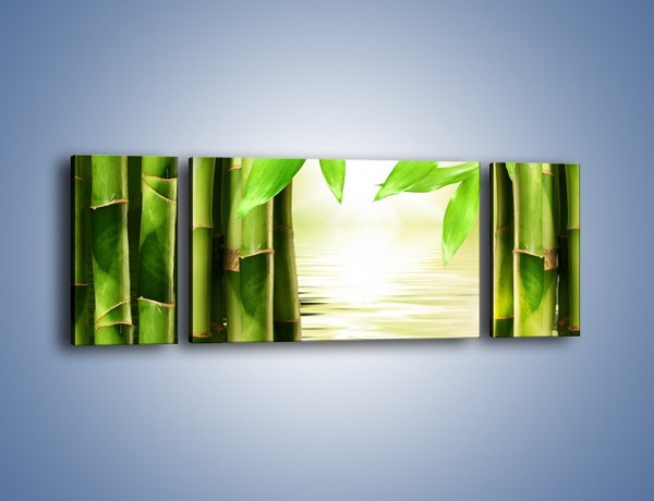 Obraz na płótnie – Bambusowe liście i łodygi – trzyczęściowy KN027W5