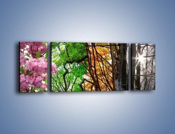 Obraz na płótnie – Drzewa w różnych kolorach – trzyczęściowy KN037W5