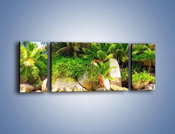Obraz na płótnie – Ściana tropikalnych drzew – trzyczęściowy KN086W5