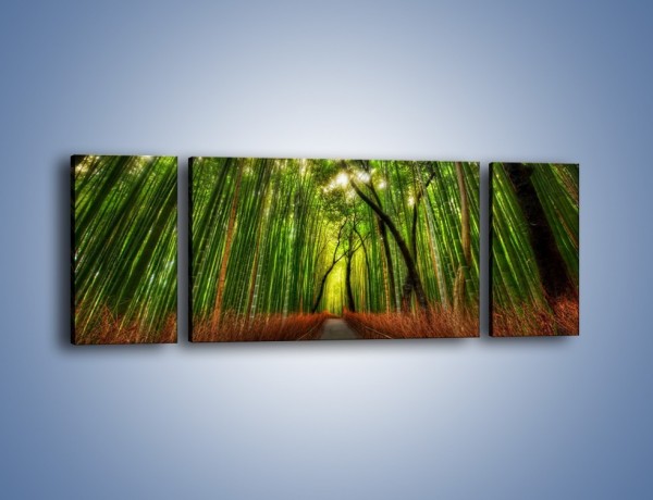 Obraz na płótnie – Przejście pomiędzy drzewami – trzyczęściowy KN1021W5