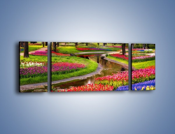 Obraz na płótnie – Aleje kolorowych tulipanów – trzyczęściowy KN1079W5