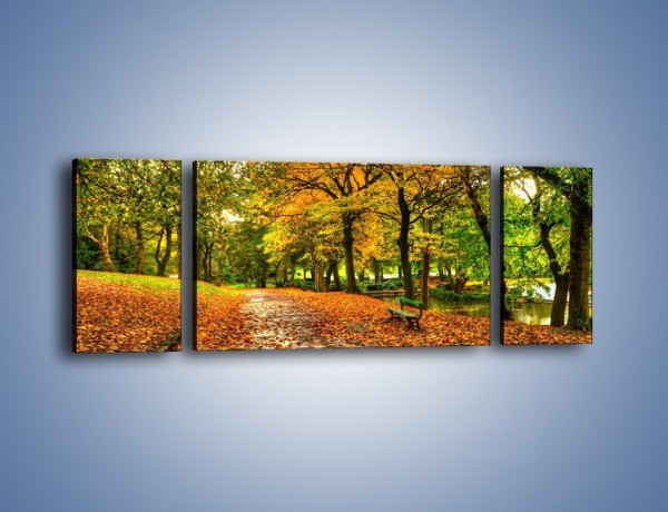 Obraz na płótnie – Piękna jesień w parku – trzyczęściowy KN1098AW5