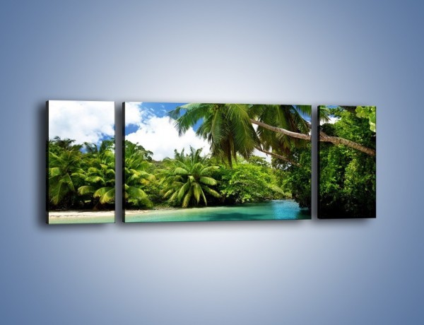 Obraz na płótnie – Rozłożone palmy i woda – trzyczęściowy KN1168AW5