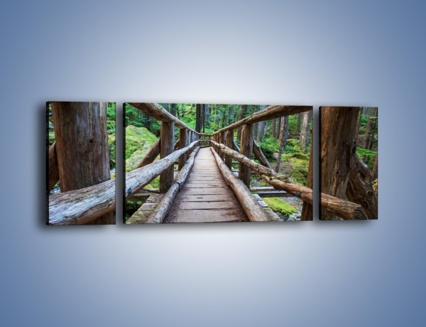 Obraz na płótnie – Mostek z drewnianych bali – trzyczęściowy KN1207AW5