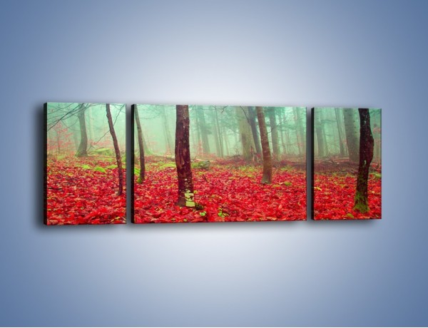 Obraz na płótnie – Drzewka na czerwonym dywanie – trzyczęściowy KN1222AW5