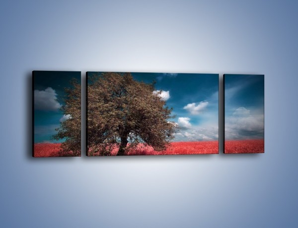 Obraz na płótnie – Drzewo na czerwonej łące – trzyczęściowy KN1246AW5