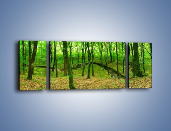 Obraz na płótnie – Wąskie spojrzenie na las – trzyczęściowy KN1264AW5