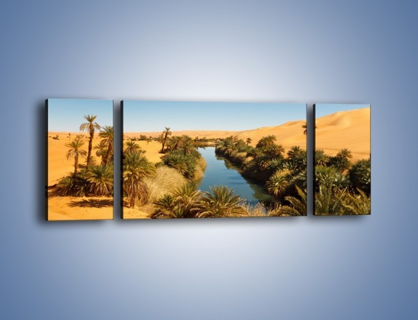 Obraz na płótnie – Woda woda na pustyni – trzyczęściowy KN1294AW5