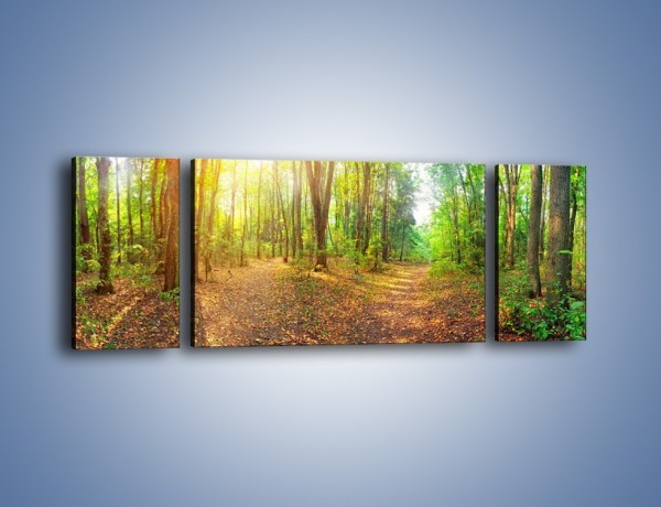 Obraz na płótnie – Przejrzysty piękny las – trzyczęściowy KN1344AW5