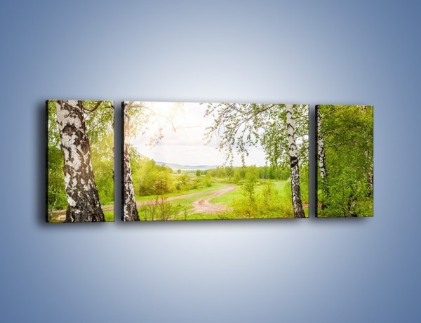 Obraz na płótnie – Polski las i brzozy – trzyczęściowy KN1348AW5