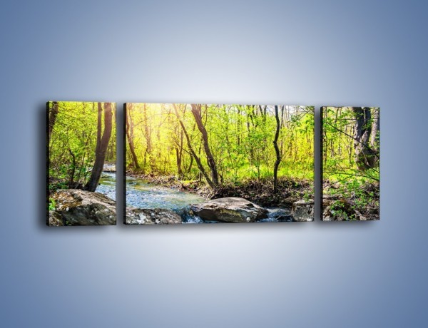 Obraz na płótnie – Opuszczony las wiosną – trzyczęściowy KN1350AW5