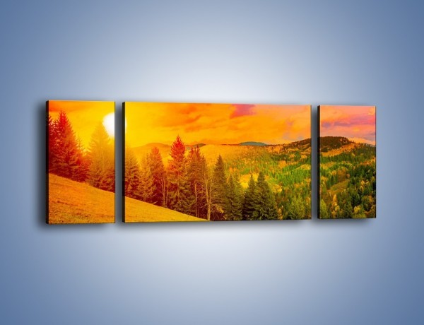 Obraz na płótnie – Zachód słońca za drzewami – trzyczęściowy KN150W5