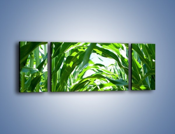 Obraz na płótnie – Wąskie pasmo zieleni – trzyczęściowy KN154W5