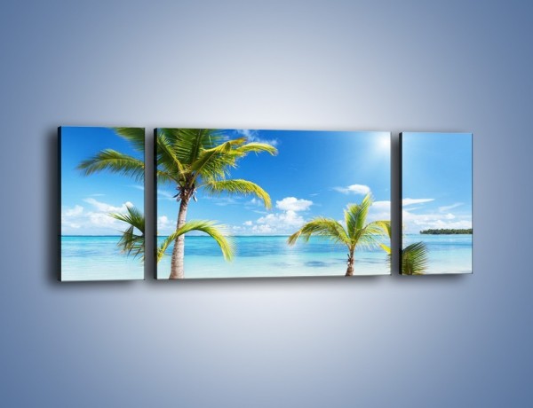 Obraz na płótnie – Palmy na pustej plaży – trzyczęściowy KN245W5