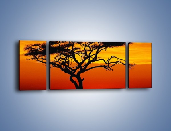 Obraz na płótnie – Zachód słońca i drzewo – trzyczęściowy KN307W5