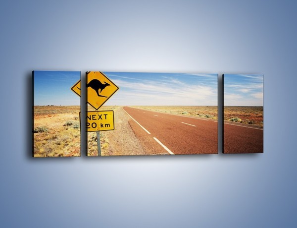 Obraz na płótnie – Droga do raju przez australię – trzyczęściowy KN315W5