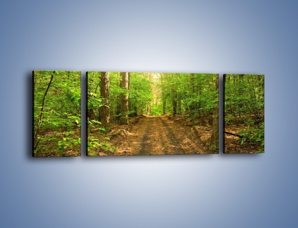 Obraz na płótnie – Leśną drogą jak z filmu – trzyczęściowy KN324W5