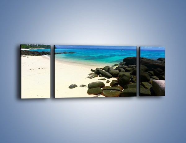 Obraz na płótnie – Czarne kamienie i biała plaża – trzyczęściowy KN527W5