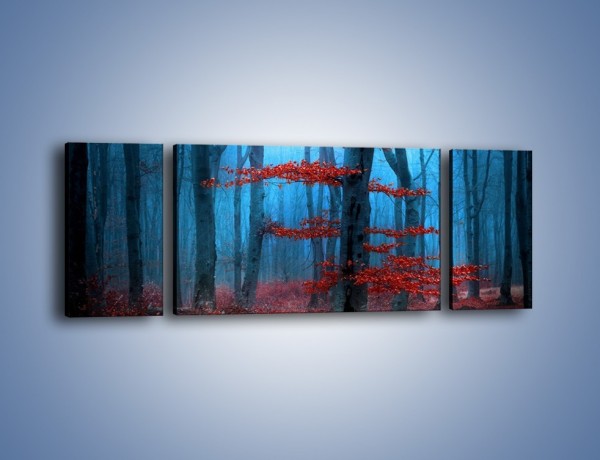 Obraz na płótnie – Czerwień w lesie – trzyczęściowy KN897W5