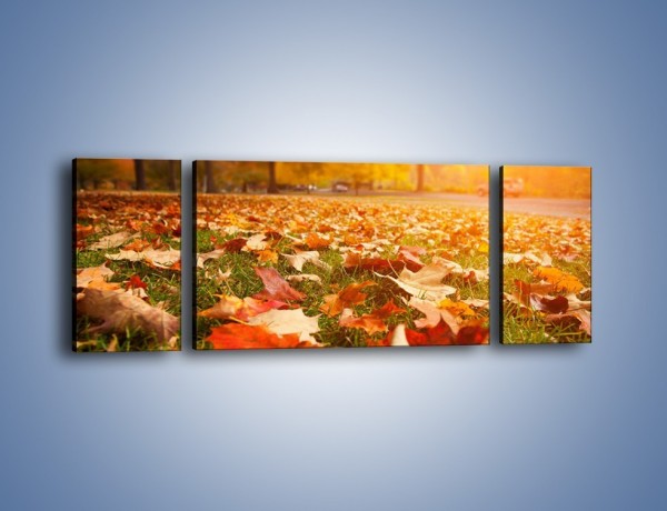 Obraz na płótnie – Jesień na trawie – trzyczęściowy KN966W5