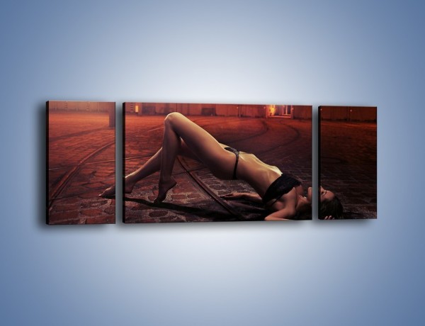 Obraz na płótnie – Kobiece ciało na bruku – trzyczęściowy L055W5