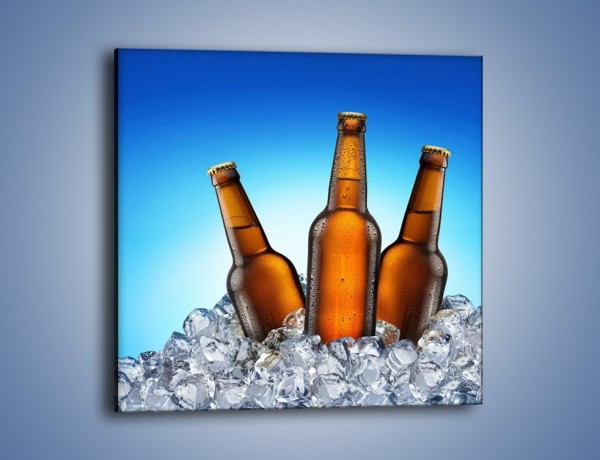 Obraz na płótnie – Szron na butelkach piwa – jednoczęściowy kwadratowy JN075