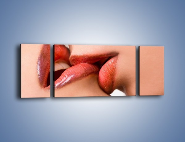 Obraz na płótnie – Krwisty pocałunek – trzyczęściowy L111W5