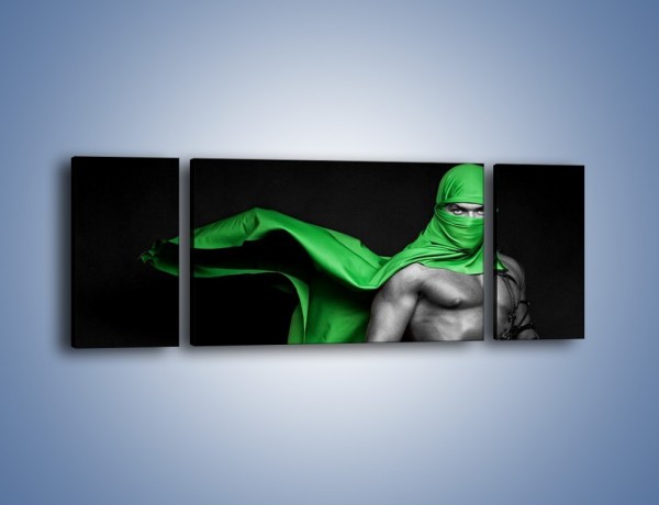 Obraz na płótnie – Zielony ninja – trzyczęściowy L245W5