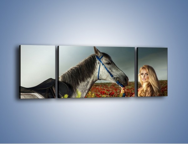 Obraz na płótnie – Kobieta koń i polana maków – trzyczęściowy L333W5