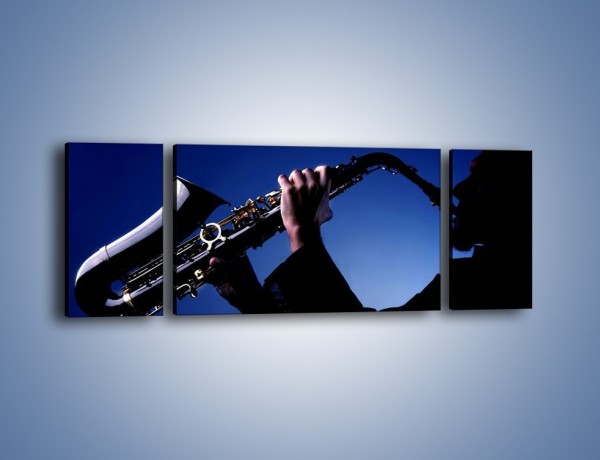 Obraz na płótnie – Koncert na saksofonie – trzyczęściowy O110W5