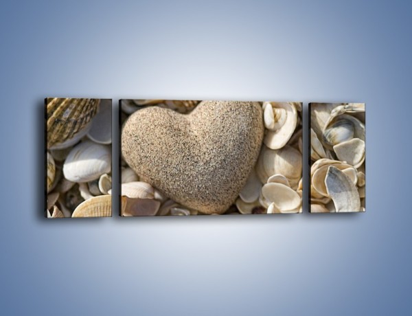 Obraz na płótnie – Miłość do muszli i morza – trzyczęściowy O132W5