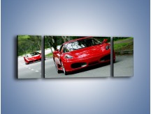 Obraz na płótnie – Ferrari F430 i Ferrari Enzo – trzyczęściowy TM090W5