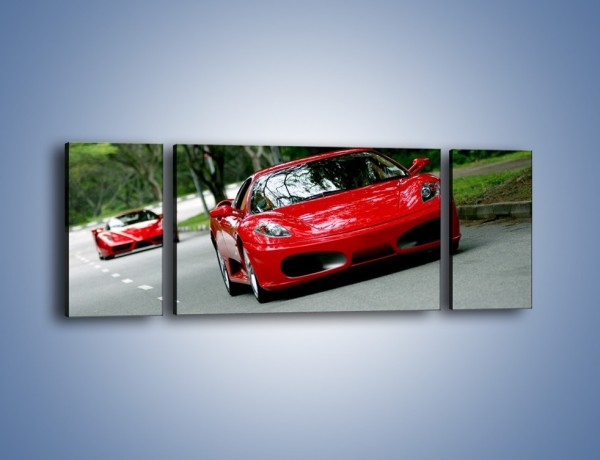 Obraz na płótnie – Ferrari F430 i Ferrari Enzo – trzyczęściowy TM090W5