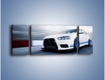 Obraz na płótnie – Mitsubishi Evo X 311RS – trzyczęściowy TM096W5