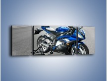 Obraz na płótnie – Yamaha YZF-R14 – trzyczęściowy TM098W5