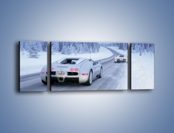 Obraz na płótnie – Bugatti Veyron w śniegu – trzyczęściowy TM134W5